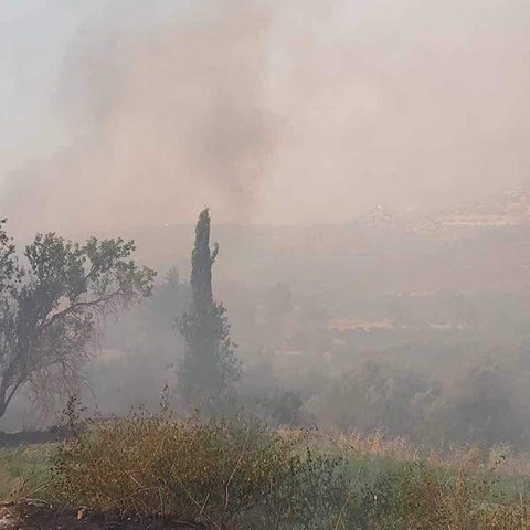 Οργή Ομοσπονδίας Περιβαλλοντικών Οργανώσεων-«Ανέτοιμο το κράτος να παράσχει προστασία»