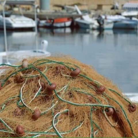 Επίθεση σε Επιθεωρητή Αλιείας από ψαρά καταγγέλλει η ΠΑΣΥΔΥ