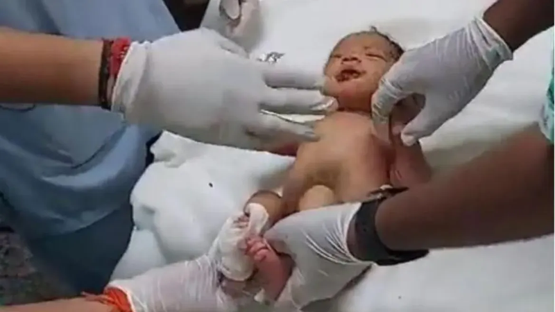 NewBorn
