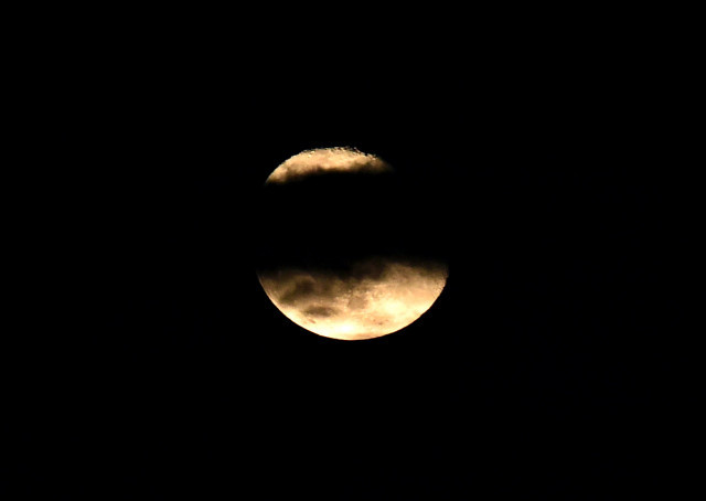 158d3980-d32a-4b5a-8f52-89b55e28b0f6.jpg