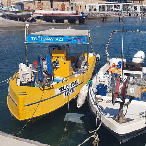 Έλλειψη στήριξης και υποδομών καταγγέλουν οι επαγγελματίες ψαράδες στην Πάφο