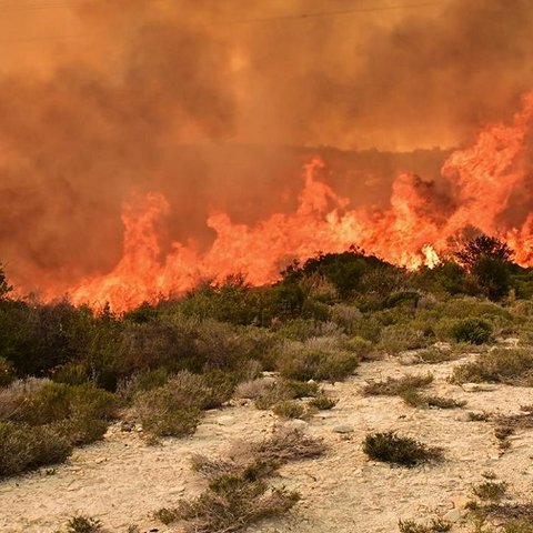 Υπό πλήρη έλεγχο η πυρκαγιά στον Άγιο Επιφάνιο-Επιχείρησαν πέντε εναέρια