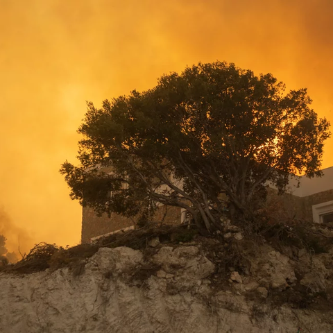 Έρχονται βαριές ποινές για τους εμπρηστές στην Ελλάδα-Πρόστιμα μέχρι και 30 χιλιάδες