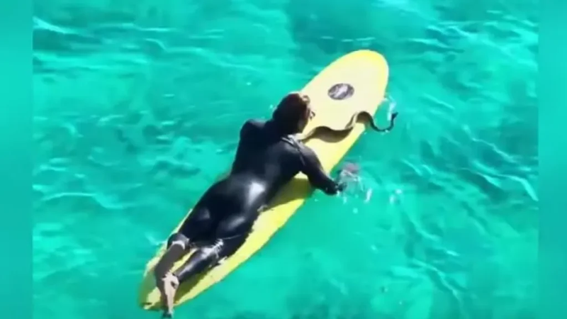 σερφερ