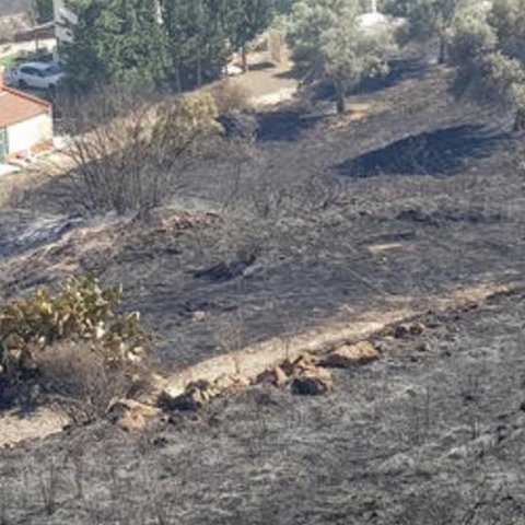 Κονδύλι ύψους πέραν των δυο εκατομμυρίων ευρώ για ζημιές από τις πυρκαγιάς