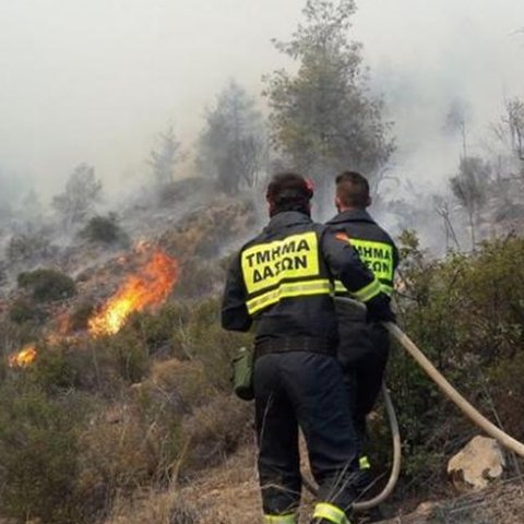 Κεραυνός προκάλεσε πυρκαγιά στην Κοιλάδα των Κέδρων στο Δάσος Πάφου