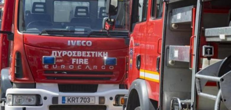 e296eda1-38b8-4bc0-b6c6-d9ef91fb8eae.jpg