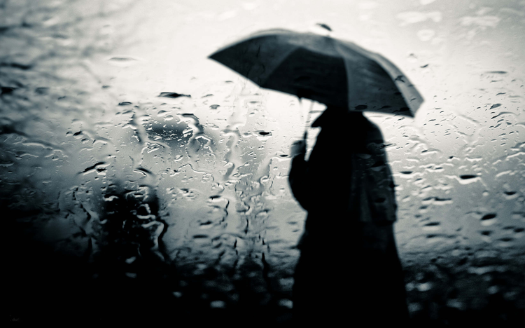 a02b91e1-9d19-41d8-a899-750ae8e9634c.jpg
