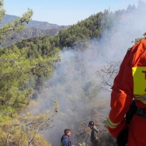 Χωρίς δασοπυροσβέστες το Τμήμα Δασών-«Αβέβαιο αν στελεχωθεί όπως πέρσι»