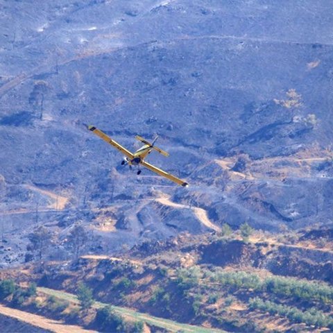 Ζητά τη διαθεσιμότητα τριών λειτουργών του Τμήματος Δασών για τα πτητικά μέσα η Παναγιώτου