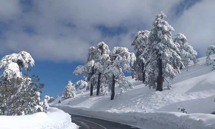 b_b_troodos2