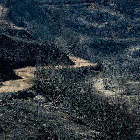 Σε επιφυλακή όλο το βράδυ οι δυνάμεις πυρόσβεσης στην Πάφο-Παραμένουν και σήμερα στην περιοχή (pics)