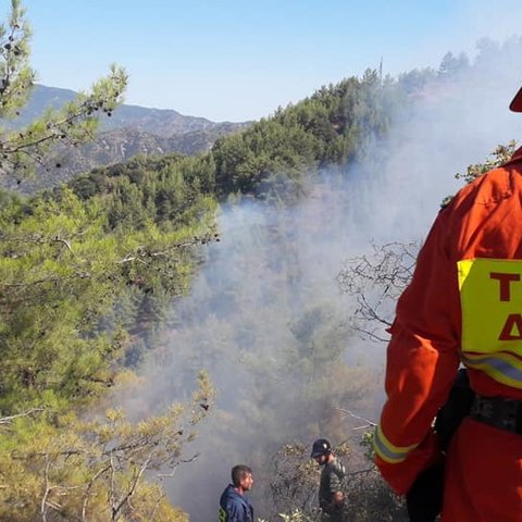 Άμεση παρέμβαση Τμήματος Δασών για έλεγχο πυρκαγιάς στον Κάτω Πύργου Τυλληρίας