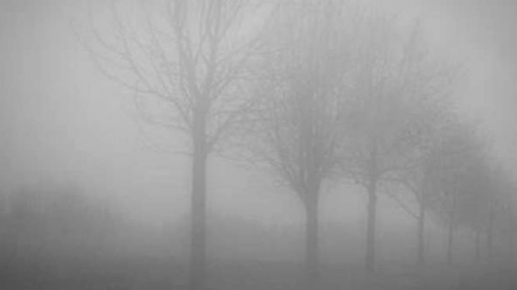 65292551-3294-4ca1-88bc-a847209af21d.jpg