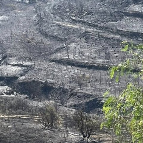 Αρχίζει η καταγραφή ζημιών σε καλλιέργειες 28 κοινοτήτων-Συγκάλεσε σύσκεψη η Παναγιώτου