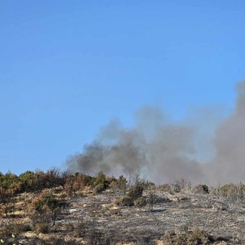 Από την άκρη του δρόμου ξεκίνησε η πυρκαγιά στο Παραμάλι-Έρευνες από Πυροσβεστική