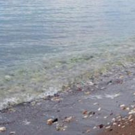 Έκλεψε τη τσάντα 68χρονης ενώ κολυμπούσε σε παραλία στη Λεμεσό-Συνελήφθη 27χρονος