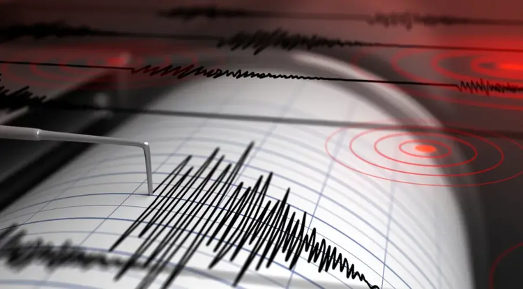 seismografos.jpg