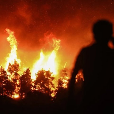 Ξεπέρασαν τις 800 φέτος οι πυρκαγιές στην Ευρώπη-Δραματικά τα στοιχεία