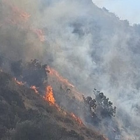 ΒΙΝΤΕΟ: Πυρκαγιά στα Πάνω Πολεμίδια-Στη μάχη κατάσβεσης και πτητικά μέσα