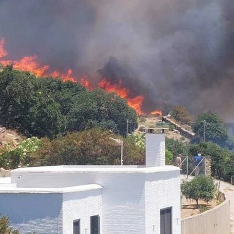 ΒΙΝΤΕΟ: Μεγάλη φωτιά στην Άνδρο-Μήνυμα από το 112 για εκκένωση τεσσάρων περιοχών