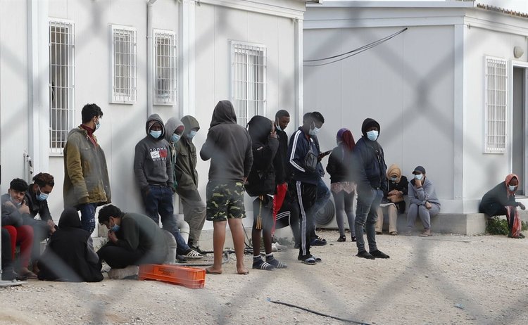 αιττ_ID_1600479