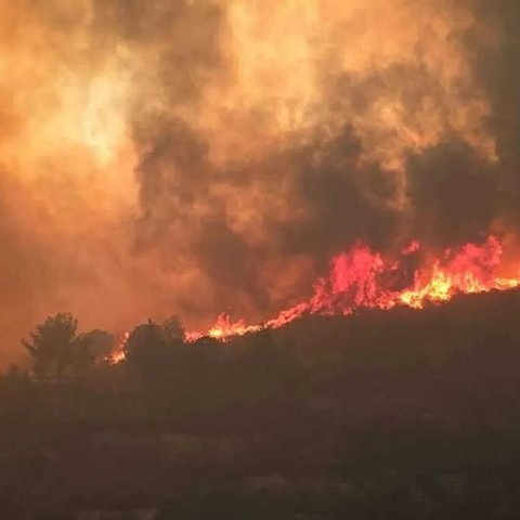 «Δεν υπάρχει δρόμος να φύγουμε, είναι κόλαση… Υπάρχουν άτομα ακόμα στα σπίτια τους»