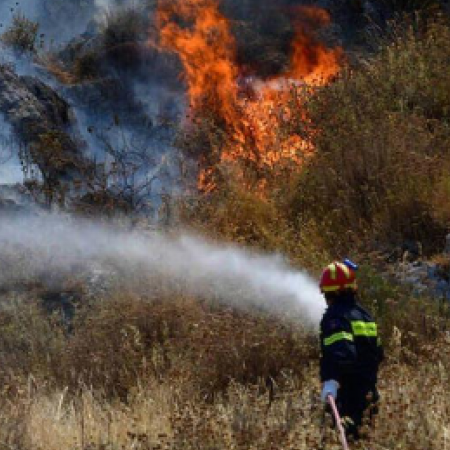 Κακόβουλα τέθηκε η πυρκαγιά στη Λεμεσό, 33χρονος ήθελε να κάψει άγρια χόρτα