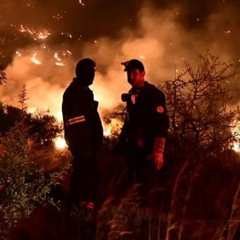 Ολονύχτια μάχη με τις φλόγες στην Εύβοια-Ξεκίνησαν οι ρίψεις νερού από εναέρια μέσα