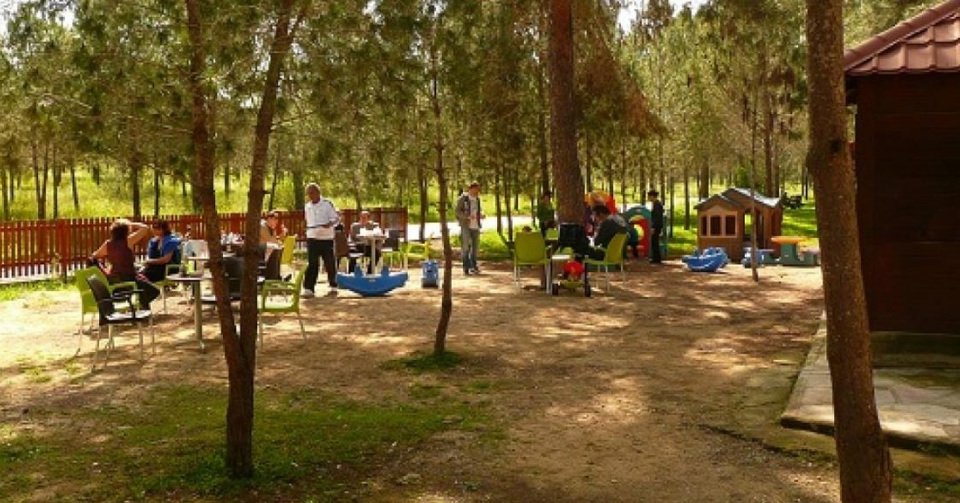 Απαντά στην Ελεγκτική το Τμήμα Δασών-«Τα δύο έργα εξυπηρετούν κοινωφελείς σκοπούς»
