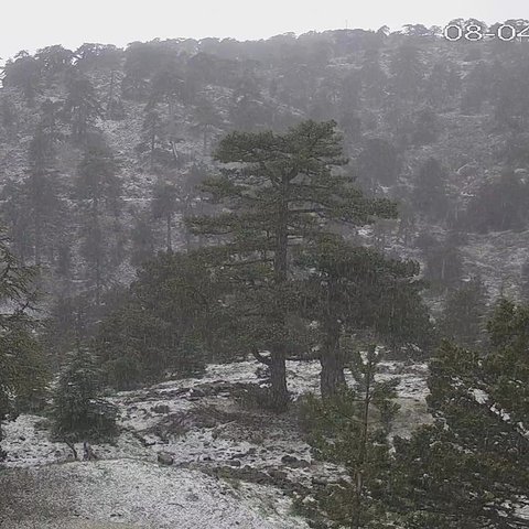 Άρχισε η χιονόπτωση στο Τρόοδος-Αναμένονται βροχές και μεμονωμένες καταιγίδες