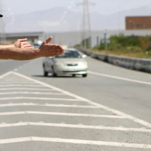 Αγελάδες διέφυγαν από φορτηγό που ανατράπηκε και κινούνται στον αυτοκινητόδρομο