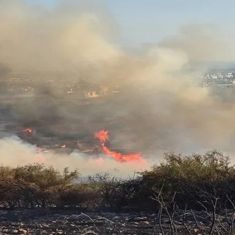 Κάηκαν 4,5  τετραγωνικά χιλιόμετρα στον Άγιο Συλά