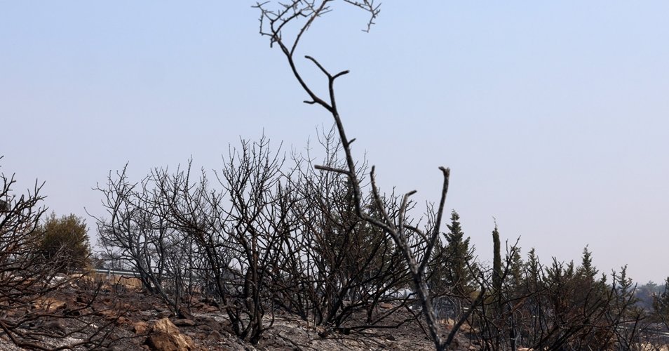 Αλυσιδωτές επιπτώσεις στην ανθρώπινη υγεία, στο περιβάλλον και στα τρόφιμα από την φονική πυρκαγιά Αλυσιδωτές επιπτώσεις στην ανθρώπινη υγεία, στο περιβάλλον και στα τρόφιμα από την φονική πυρκαγιά