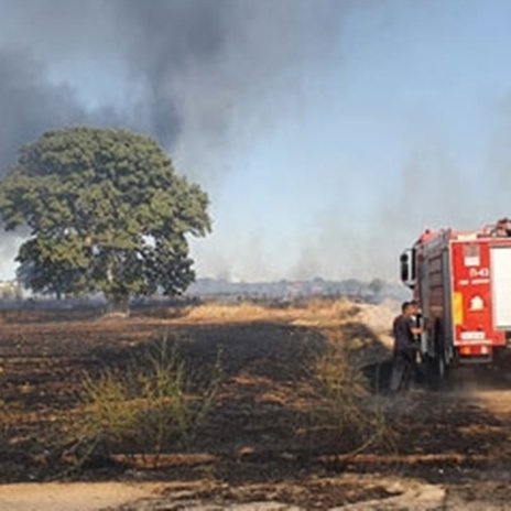 Θετικά νέα από τον Έβρο-Χωρίς ενεργό μέτωπο η πυρκαγιά