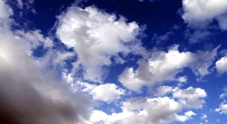 f85d6949-556e-445c-8aaf-9f2a8f46d9c0.jpg