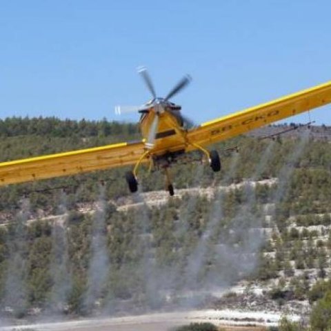 Αεροψεκασμοί Τμήματος Δασών για καταπολέμηση του εντόμου της πιτυοκάμπης