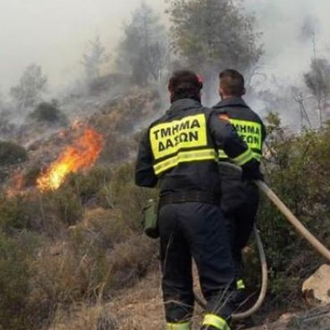 Έκαψε καλαμιώνες και άγρια βλάστηση η πυρκαγιά στα Κελλιά-Παραμένουν δυνάμεις στην περιοχή