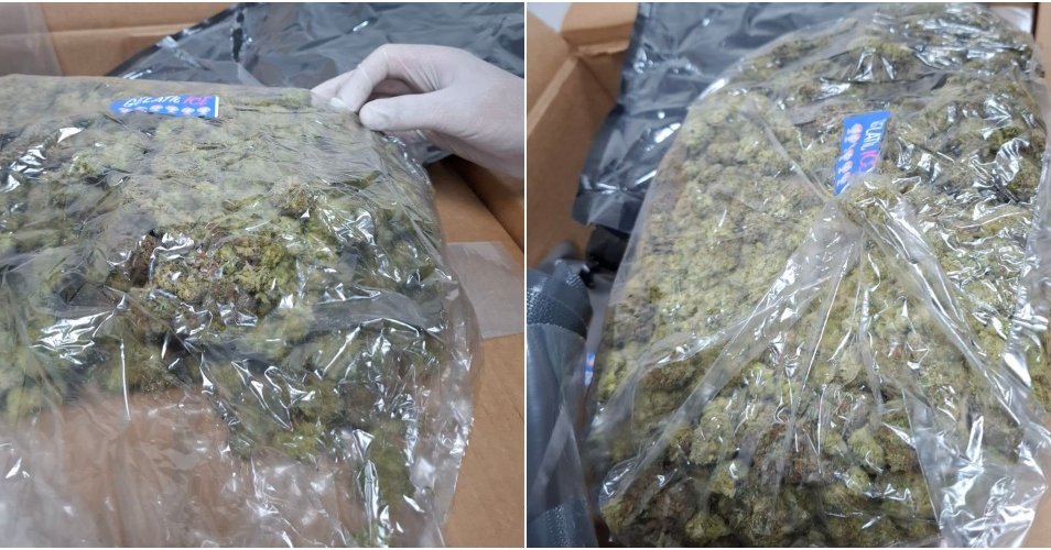 Του έστειλα δέμα μέσω αεροδρομίου Λάρνακας με 18 κιλά κάνναβης-Συνελήφθη 34χρονος Του έστειλα δέμα μέσω αεροδρομίου Λάρνακας με 18 κιλά κάνναβης-Συνελήφθη 34χρονος