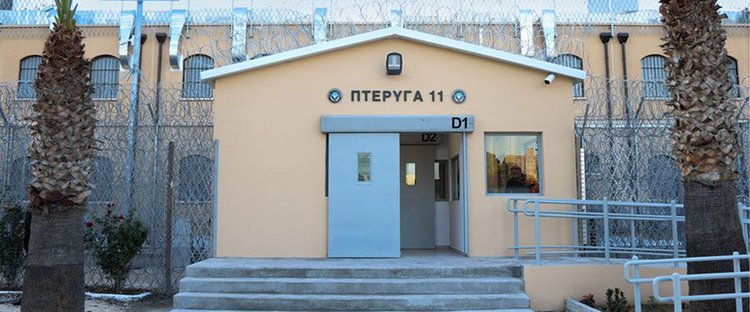 pteriga-arthrou