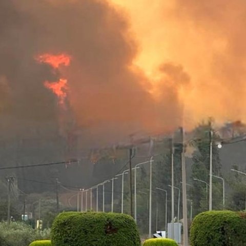 ΒΙΝΤΕΟ: Νεκρός 55χρονος στη Μυρτιά-Πήγε να βοηθήσει στην κατάσβεση της φωτιάς