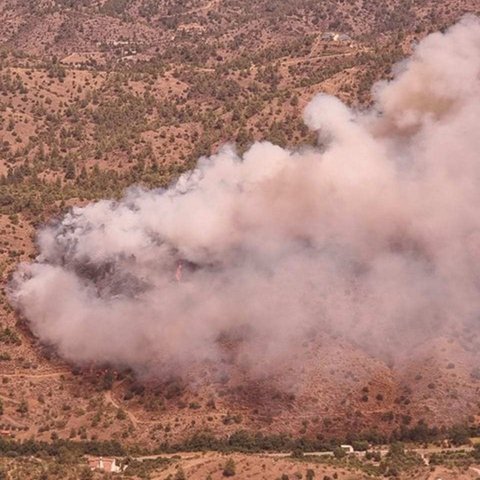 Έτσι προκλήθηκε η πυρκαγιά στο Παλαιχώρι-Οι εξηγήσεις του Τμήματος Δασών