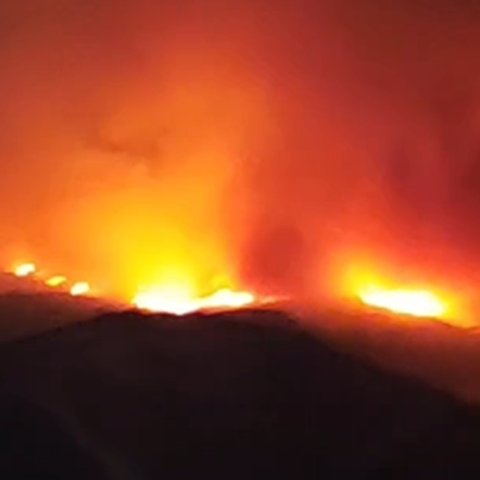 Εκκενώθηκε μαθητική κατασκήνωση στη Λόφου-Μεταφέρθηκαν στη Λευκωσία τα παιδιά