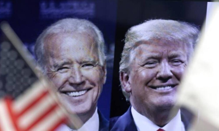 52226636-9403-4e69-af75-a464028e97bb.jpg