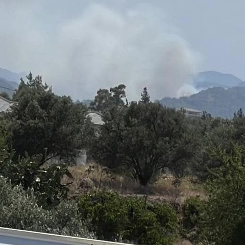 Σε εξέλιξη πυρκαγιά στο Παλαιχώρι-Στη μάχη και εναέρια μέσα