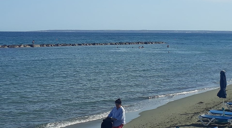 6d6dd6cf-d0bd-44b6-83e8-8d1e66432631.jpg