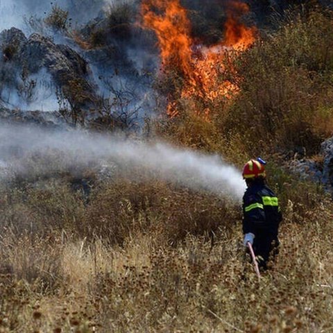 Σύσκεψη στο Προεδρικό για την πρόληψη και αντιμετώπιση των πυρκαγιών