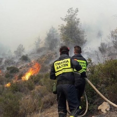 Το Τμήμα Δασών προσέλαβε 118 δασοπυροσβέστες και πυροφύλακες