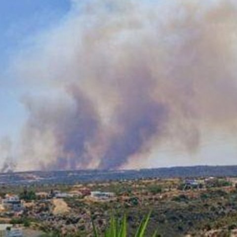 Διέμενε παράνομα στην Κύπρο ο ύποπτος για τη φωτιά στην Ανώγυρα-Εντοπίστηκε να κρύβεται με 8.000 ευρώ