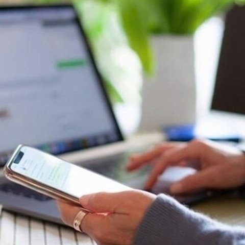 Μόνο το 35% αποφοίτων βρίσκει εργασία στον τόμεα του-Περιορισμένες ευκαιρίες πρακτικής